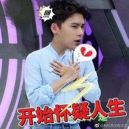 媒体爆料李易峰事件视频,真相与争议交织  第1张