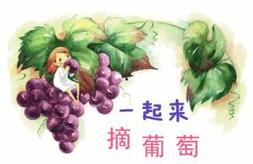 吃瓜娱乐背景板图片高清,揭秘娱乐圈幕后风云  第1张