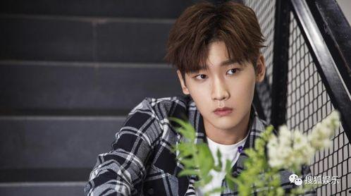 爱豆吃瓜娱乐酱刘宇宁,从爱豆到吃瓜娱乐酱，揭秘他的跨界人生  第3张