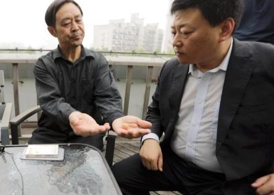 马保国最新爆料新闻,揭秘武术界惊人内幕！