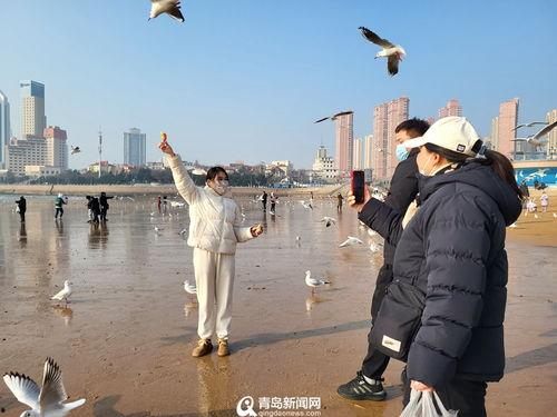 青岛爆料最新新闻事件,惊现神秘事件引发社会关注  第2张